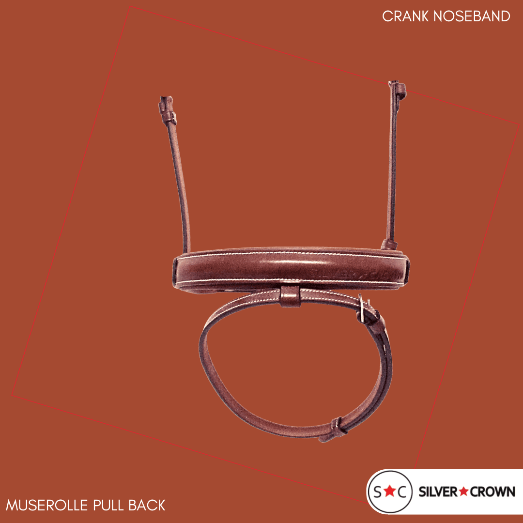 Silver Crown bridle in the UAE - Pull Back Noseband
