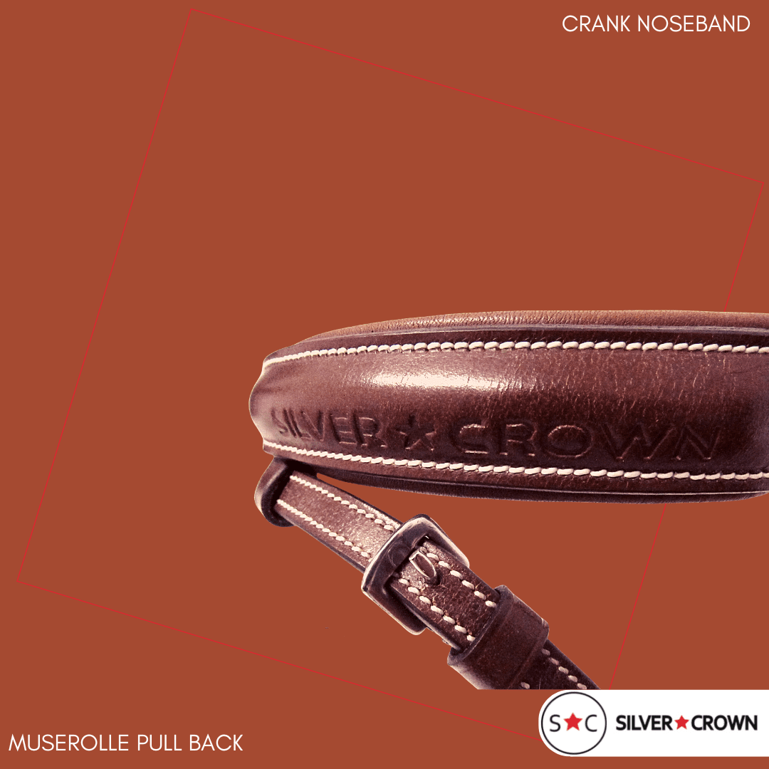 Silver Crown bridle in the UAE - Pull Back Noseband