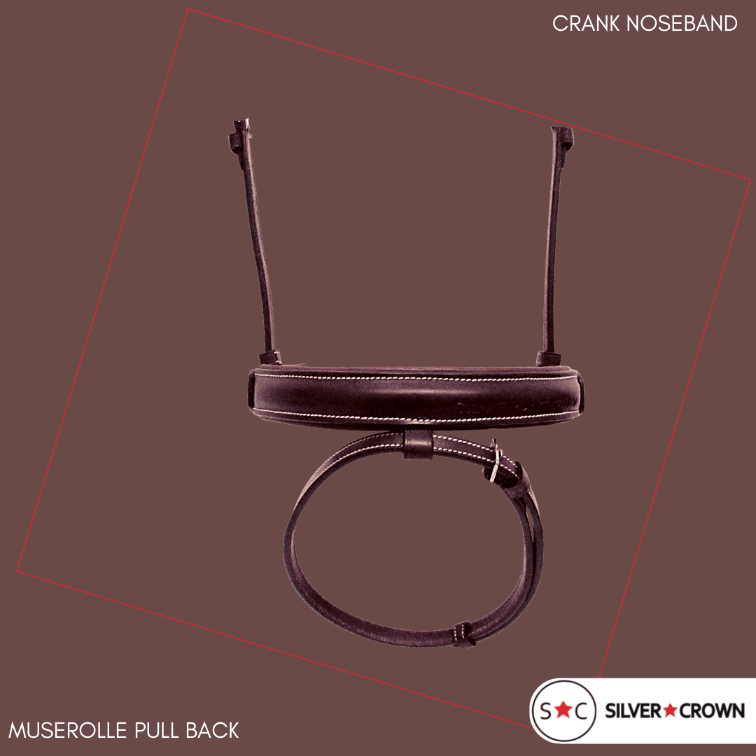 Silver Crown bridle in the UAE - Pull Back Noseband