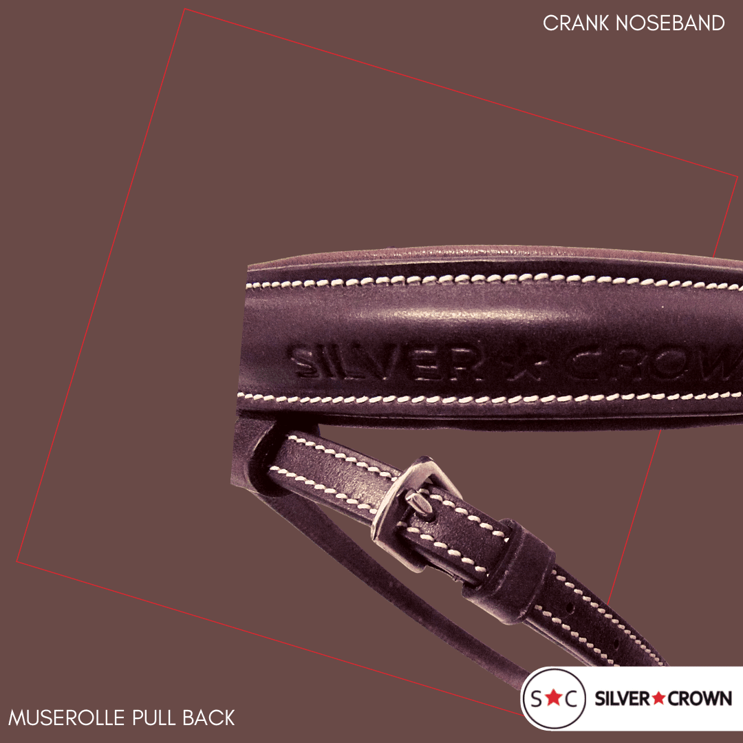 Silver Crown bridle in the UAE - Pull Back Noseband