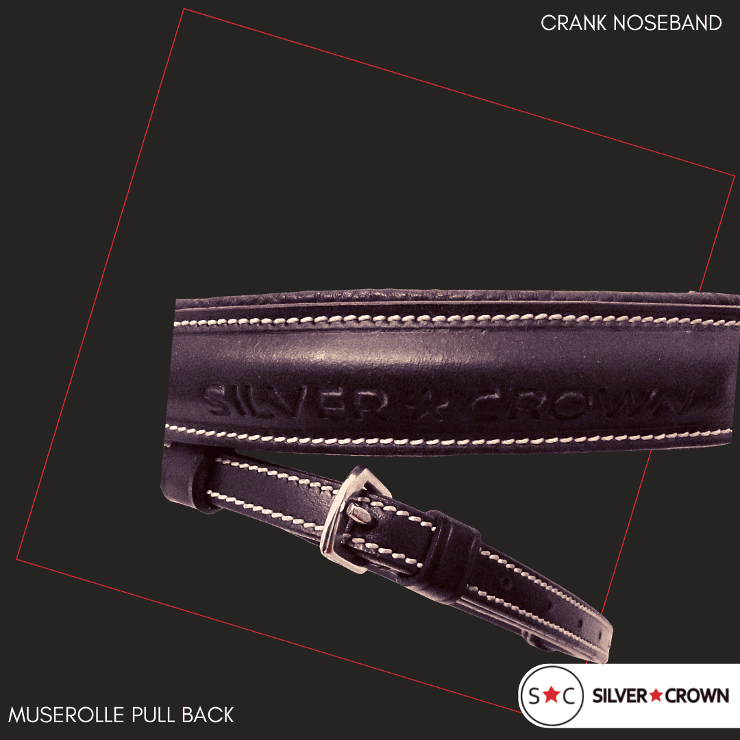 Silver Crown bridle in the UAE - Pull Back Noseband